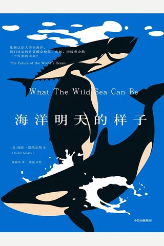 海洋明天的样子 封面