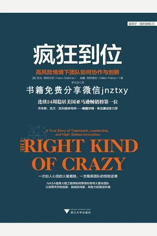疯狂到位：高风险情境下团队如何协作与创新 封面