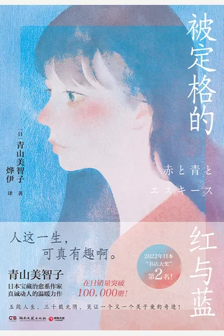 《被定格的红与蓝》【豆瓣评分8.1】 封面