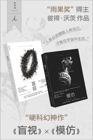 盲视✖️模仿 封面