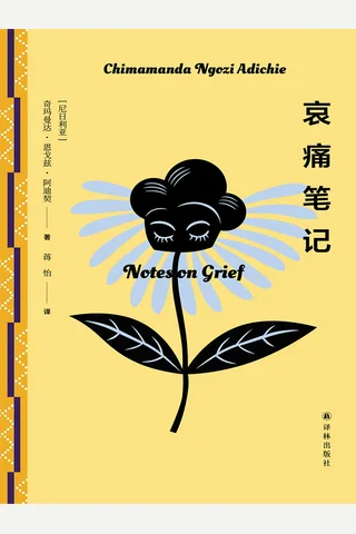 《哀痛笔记》【豆瓣评分7.3】 封面