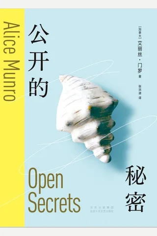 公开的秘密 封面
