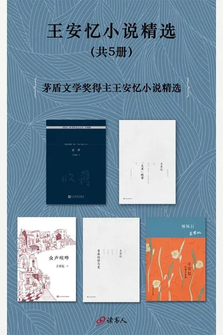 王安忆小说精选 封面