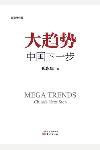 《大趋势：中国下一步》 封面