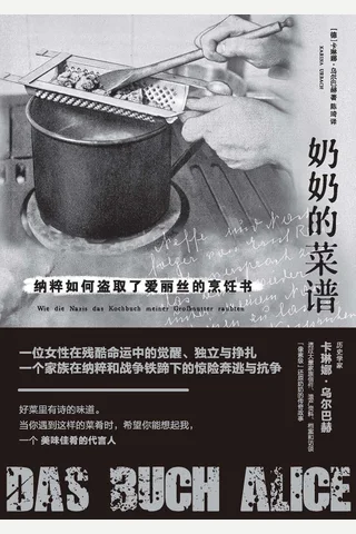 奶奶的菜谱-纳粹如何盗取了爱丽丝的烹饪书 封面
