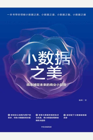 《小数据之美》 封面