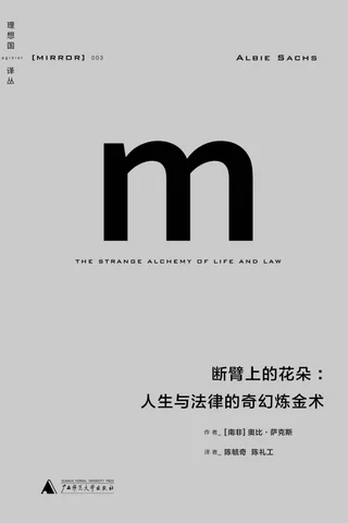 断臂上的花朵-[南非]奥比·萨克斯 封面