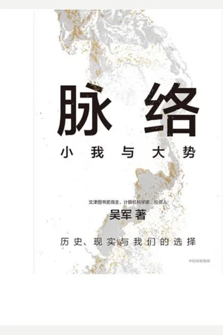 脉络：小我与大势 封面