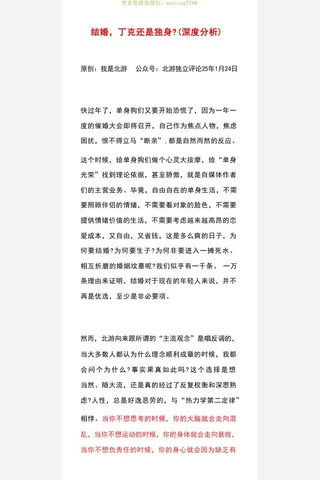 北游独立评论付费文：结婚，丁克还是独身？ 封面