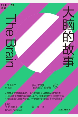 《大脑的故事》 封面