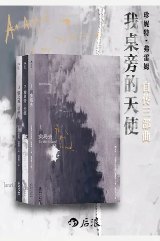 《我桌旁的天使》【豆瓣评分8.6】 封面