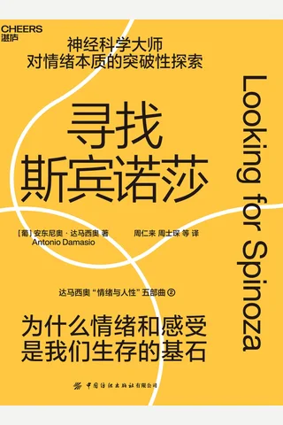 《寻找斯宾诺莎》 封面