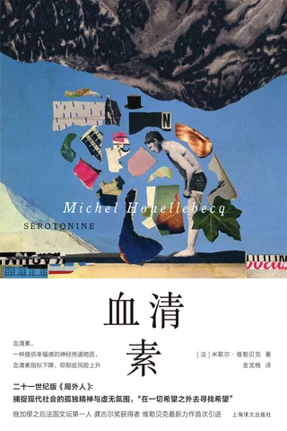《血清素》 封面