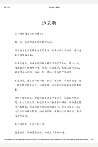 知乎盐选 诉衷肠 封面