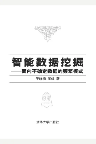 智能数据挖掘 封面