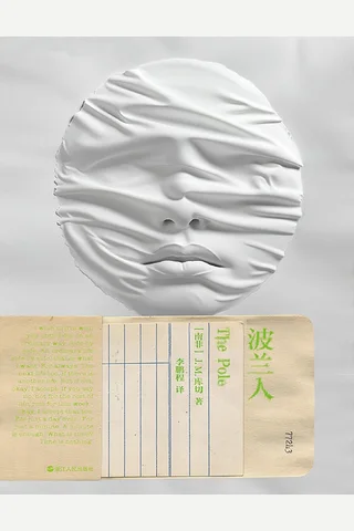 《波兰人》【豆瓣评分8.4】 封面