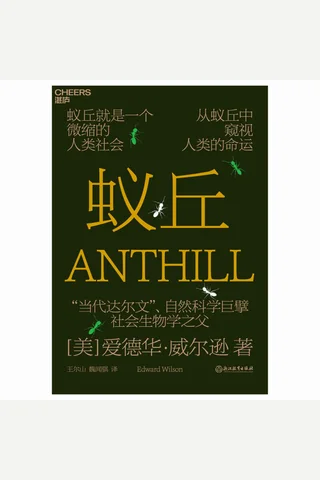 《蚁丘》 封面