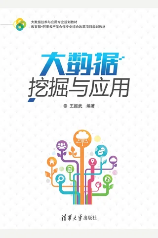 大数据挖掘与应用 封面