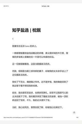知乎盐选 枕眠 封面