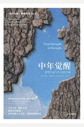 《中年觉醒》【豆瓣评分7.2】 封面