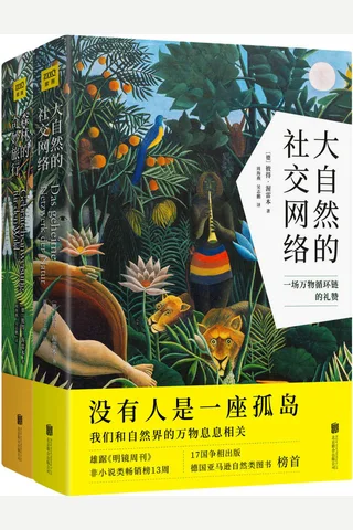 自然万物科普百科《大自然的社交网络》《森林的奇妙旅行》套装共2册 封面
