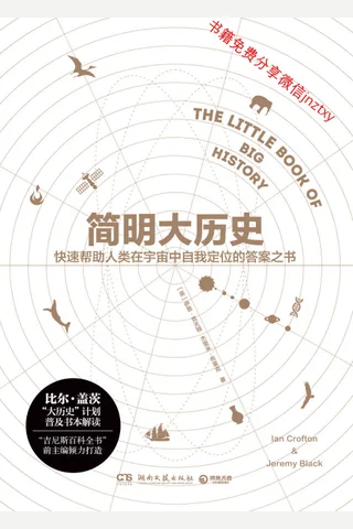 简明大历史 封面