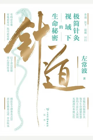 针道：极简针灸视域下的生命秘密 封面