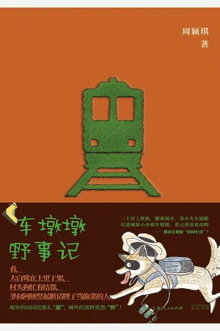 车墩墩野事记 封面