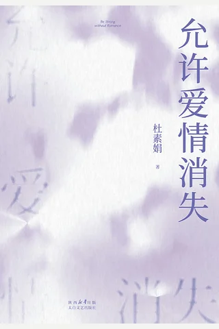 允许爱情消失 封面