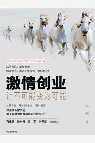《激情创业：让不可能变为可能》 封面