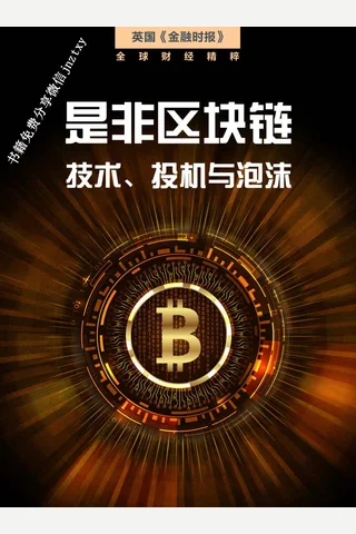 是非区块链：技术、投机与泡沫 封面