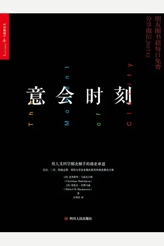意会时刻：用人文科学解决棘手的商业难题 封面