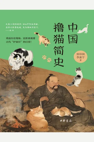《中国撸猫简史》【豆瓣评分7.5】 封面