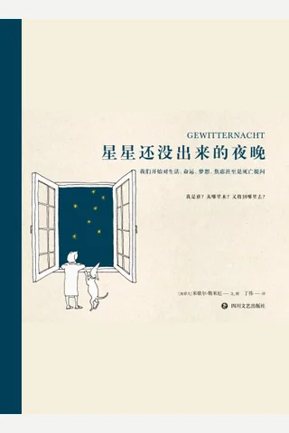 《星星还没出来的夜晚》【豆瓣评分8.3】 封面