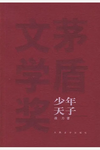 少年天子 封面