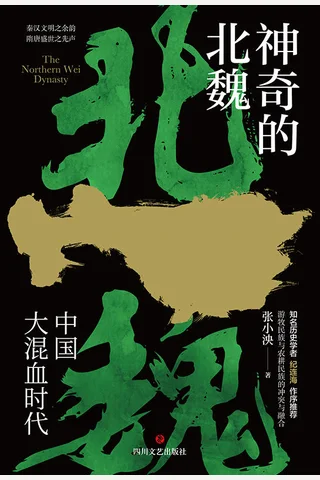 《神奇的北魏》 封面