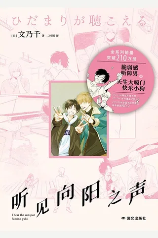 听见向阳之声 封面