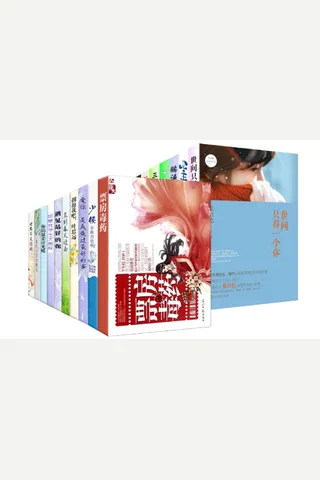 网络YQ小说TOP20 封面