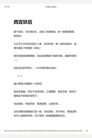 知乎盐选 西宫妖后 封面
