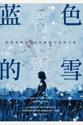 《蓝色的雪》【豆瓣评分6.8】 封面