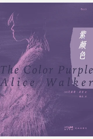 紫颜色 封面
