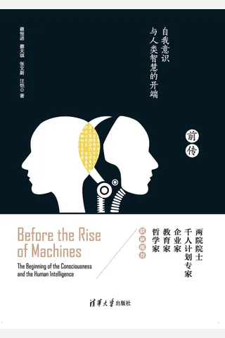 《机器崛起前传：自我意识与人类智慧的开端》 封面