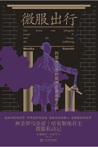 《微服出行》【豆瓣评分8.2】 封面