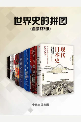 世界史的拼图 封面