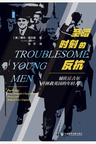 《至暗时刻的反抗》 封面
