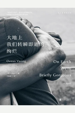 大地上我们转瞬即逝的绚烂 封面