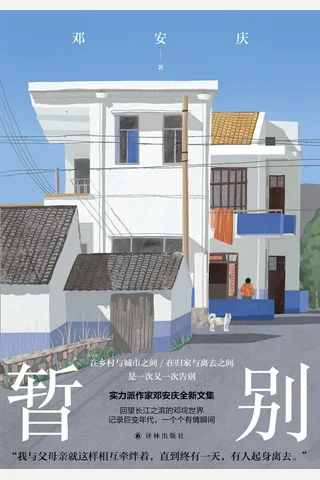 《暂别》【豆瓣评分8.8】 封面