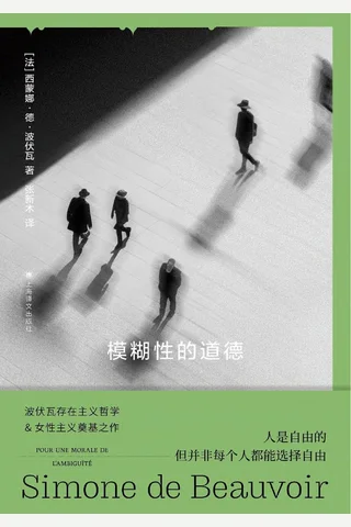 《模糊性的道德》【豆瓣评分8.1】 封面