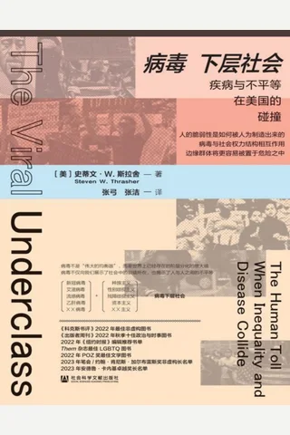 病毒下层社会：疾病与不平等在美国的碰撞 封面