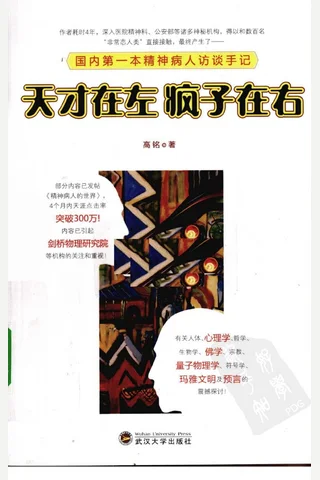 天才在左 疯子在右 封面